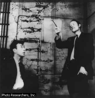 Watson and Crick